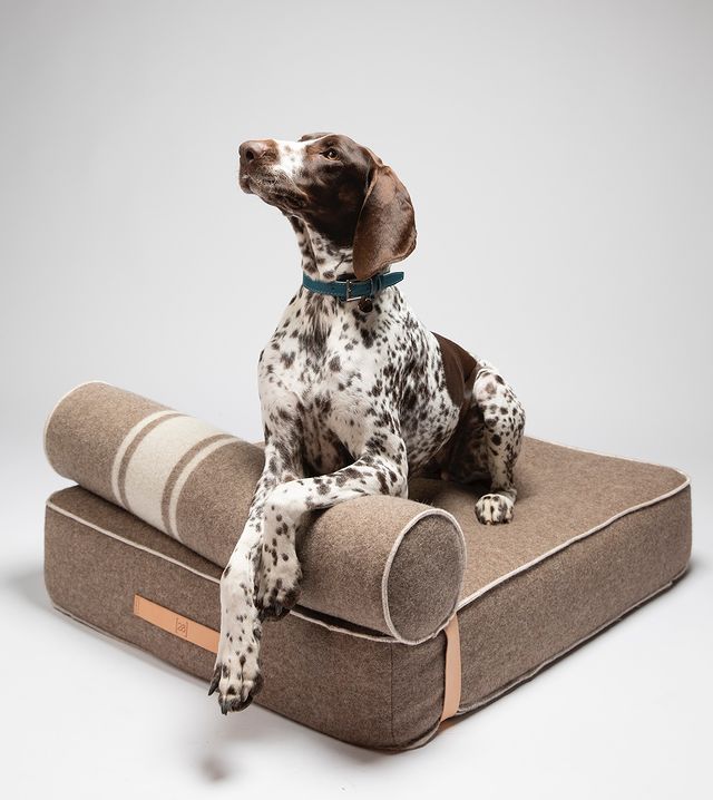 How to Pick the Perfect Luxury Pet Bed for Comfort and Style