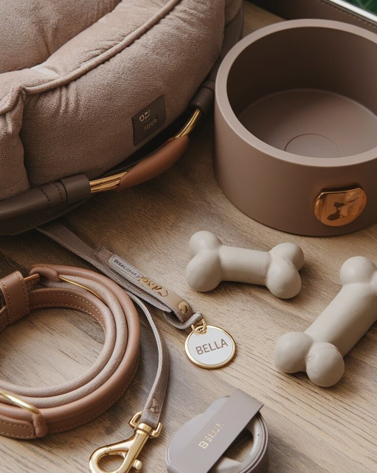 Travel in Style: Choosing the Best Luxury Dog Travel Accessories